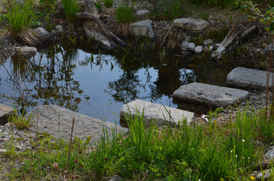 Gartentiech am Garten